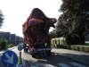 Foto-10